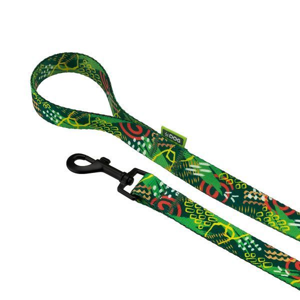 Поводок для собаки ТМ HIDOG "Abstraction green", размер XS (ширина 10мм, длина 152см) 120.1045 фото