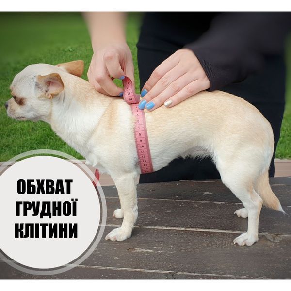 Шлея для собаки ТМ HIDOG COMFORT "Crazy green fruits", розмір XXS (обхват грудної клітини 28-34см) 135.1055 фото
