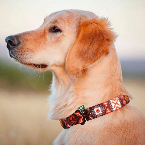 Нашийник для собаки ТМ HIDOG "Вишиванка", розмір S (ширина 16мм, обхват шиї 25-33см) 102.1034 фото