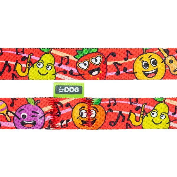 Повідець для собаки ТМ HIDOG "Crazy red fruits", розмір XS (ширина 10мм, довжина 152см) 120.1056 фото