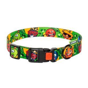 Нашийник для собаки ТМ HIDOG "Crazy green fruits", розмір S (ширина 16мм, обхват шиї 25-33см) 102.1055 фото