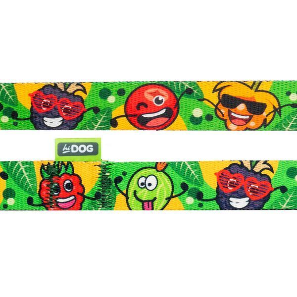 Ошейник для собаки ТМ HIDOG "Crazy green fruits", размер S (ширина 16мм, обхват шеи 25-33см) 102.1055 фото