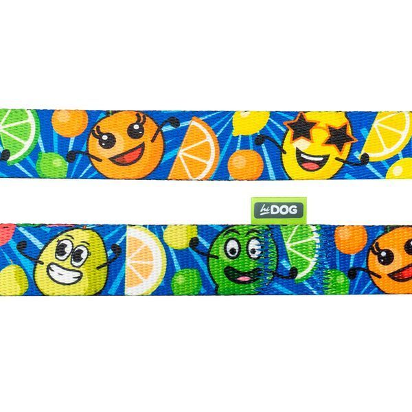 Повідець для собаки ТМ HIDOG "Crazy blue fruits", розмір XS (ширина 10мм, довжина 152см) 120.1058 фото