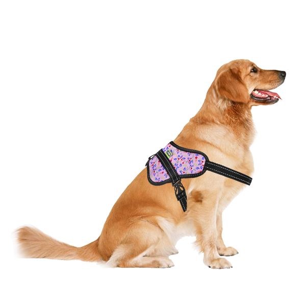 Шлея ТМ HIDOG BUTTERFLY "Flowers pink", розмір S (обхват грудної клітини 40-55см) 141.1020 фото